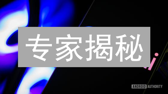 专家揭秘：如何在 Gemini 安全存储你的柴犬币 (SHIB)？必看指南！