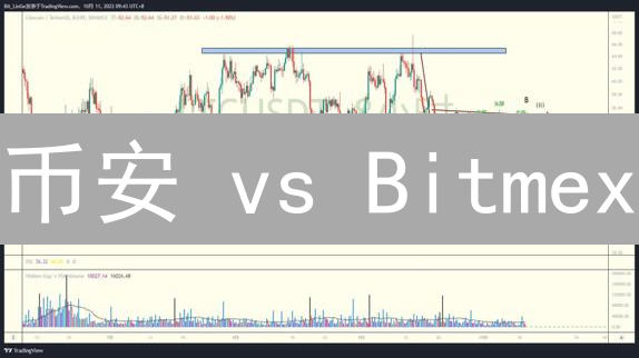 币安 vs Bitmex：5 分钟搞懂加密货币止盈止损技巧！